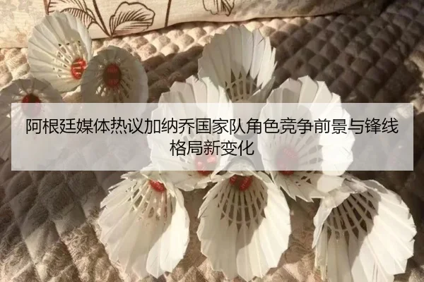 阿根廷媒体热议加纳乔国家队角色竞争前景与锋线格局新变化